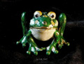 Laubfrosch